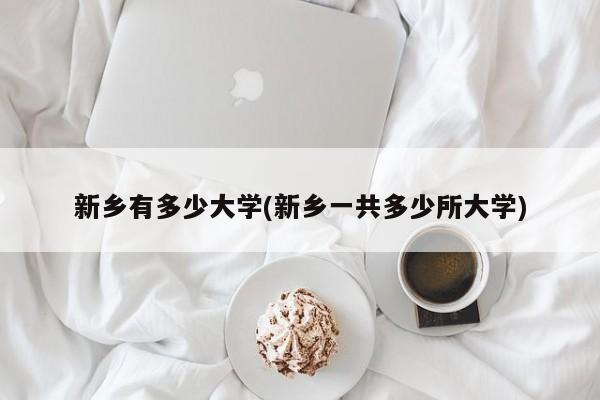 新乡有多少大学(新乡一共多少所大学)