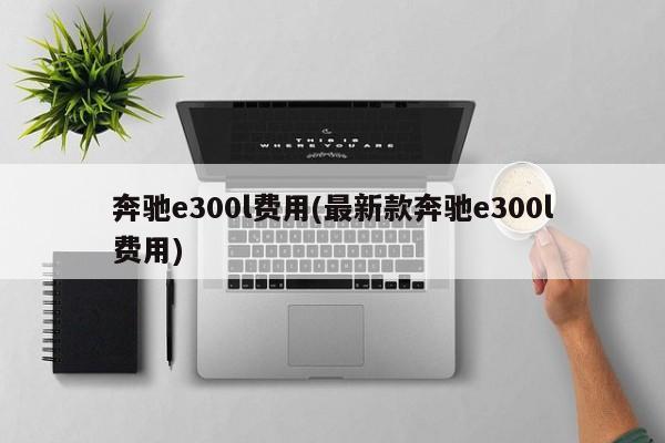 奔驰e300l费用(最新款奔驰e300l费用)