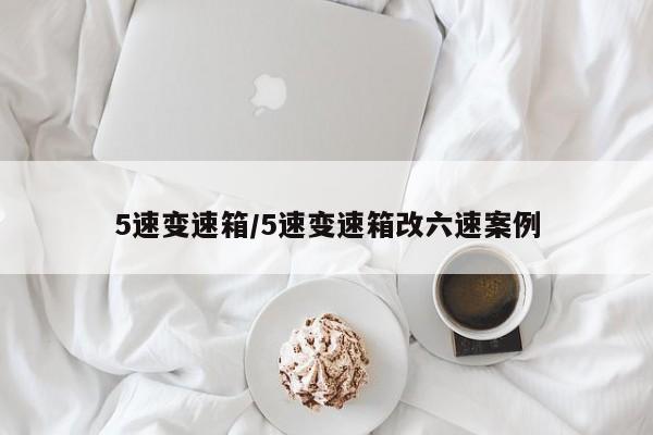 5速变速箱/5速变速箱改六速案例
