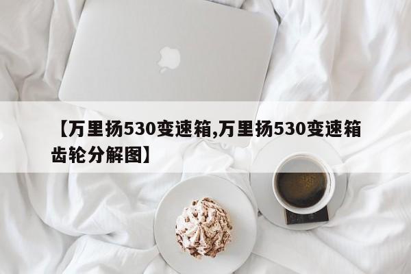 【万里扬530变速箱,万里扬530变速箱齿轮分解图】