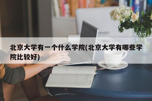 北京大学有一个什么学院(北京大学有哪些学院比较好)