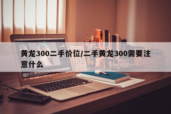 黄龙300二手价位/二手黄龙300需要注意什么