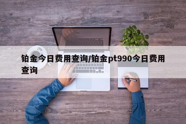 铂金今日费用查询/铂金pt990今日费用查询