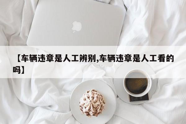 【车辆违章是人工辨别,车辆违章是人工看的吗】