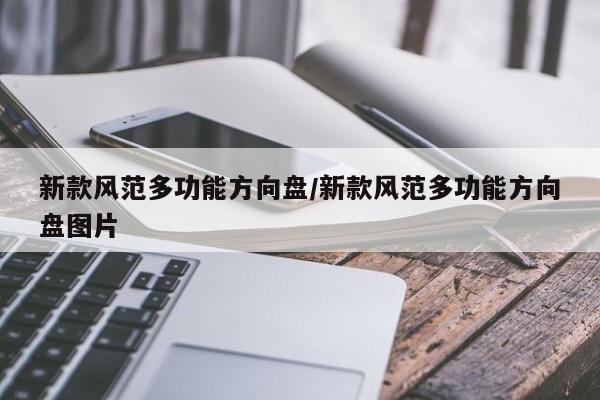 新款风范多功能方向盘/新款风范多功能方向盘图片