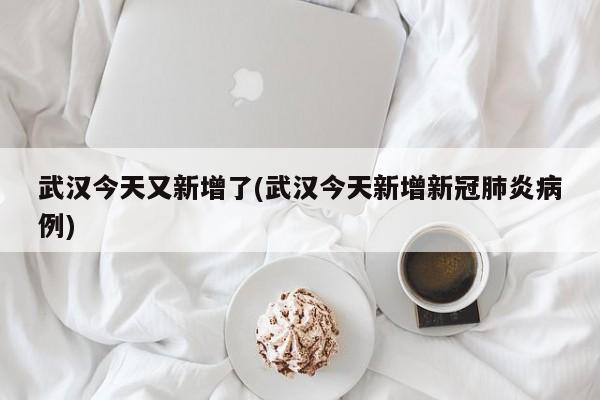武汉今天又新增了(武汉今天新增新冠肺炎病例)