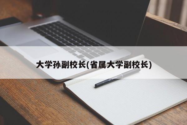 大学孙副校长(省属大学副校长)