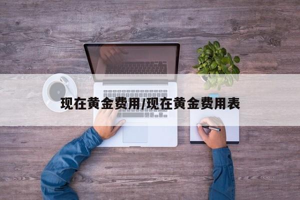 现在黄金费用/现在黄金费用表