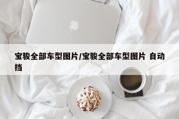 宝骏全部车型图片/宝骏全部车型图片 自动挡